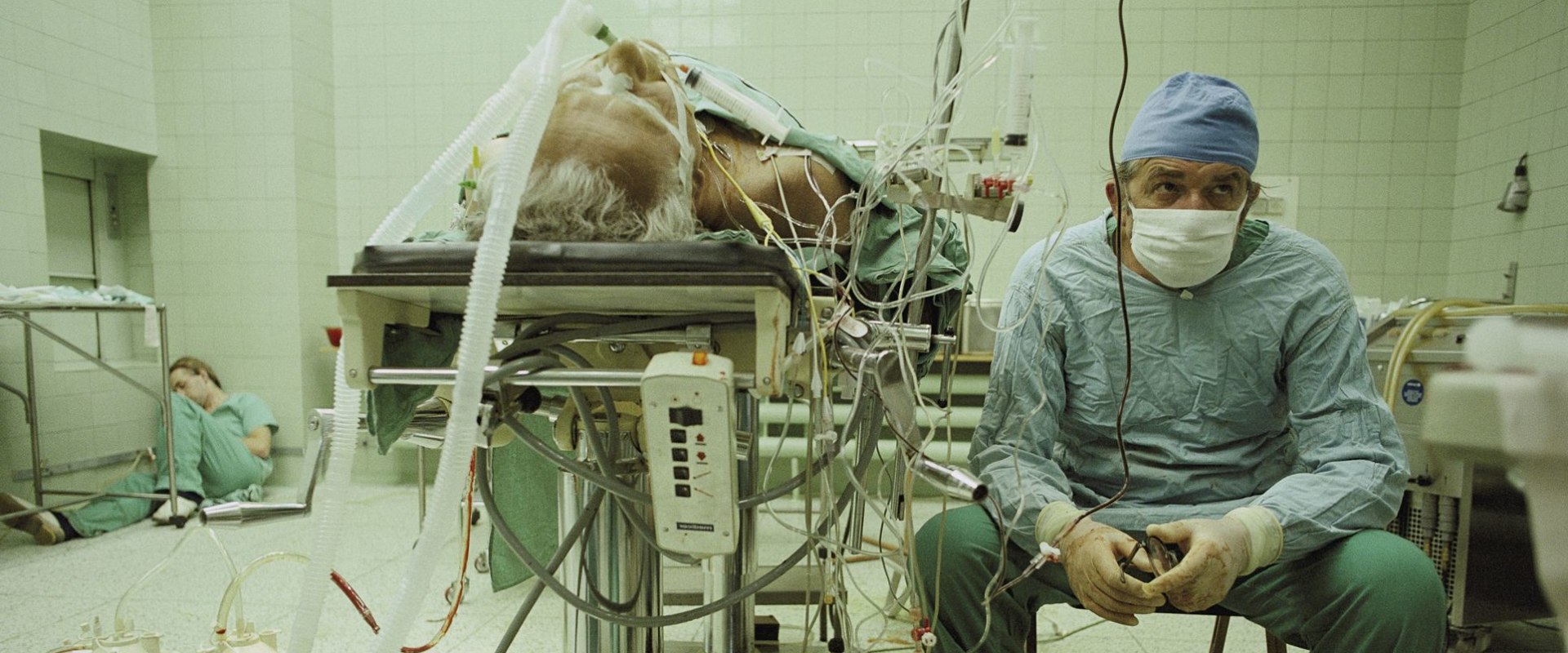 What surgery takes the longest recovery time?